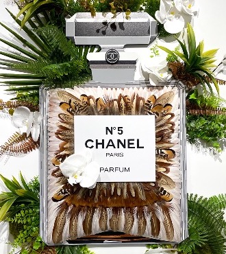 White Wild Coco - 39" x 27,5" - Plumes and drawing