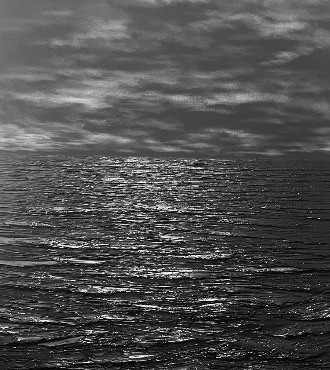 Night call - S2225 - Peinture à l'huile originale sur toile - 92 x 73 cm