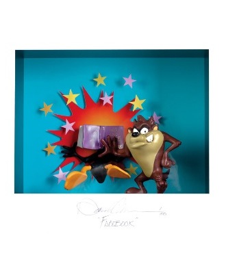 Facebook - 63 x 68  cm - Shadow box