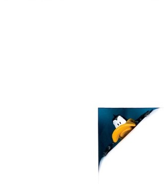 Peeking duck - 51 x 51  cm - Shadow box