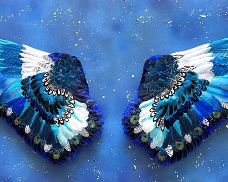 Limitless - 71" x 31" - Plumes and drawing