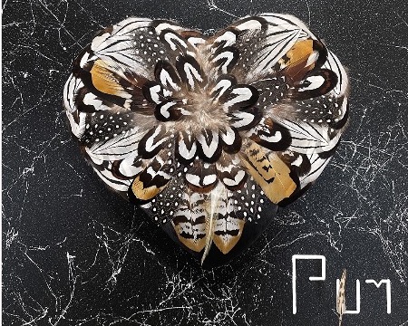 Pocket Love - 12" x 12" - Plumes and drawing