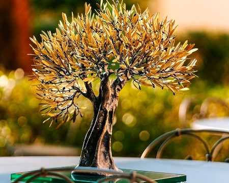 Achilles - 55 x 50 x 30 cm - Sculpture en bronze