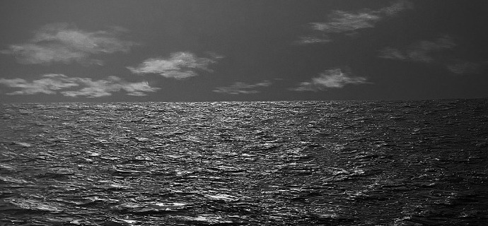 Nigh Call - S7925 - Oil on canvas - 51" x 38"